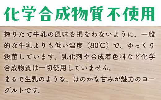 【定期便6回】ヨーグルト500ｇ（プレーン）6個セット【無糖 ネッカ牛乳 ノンホモ製法】