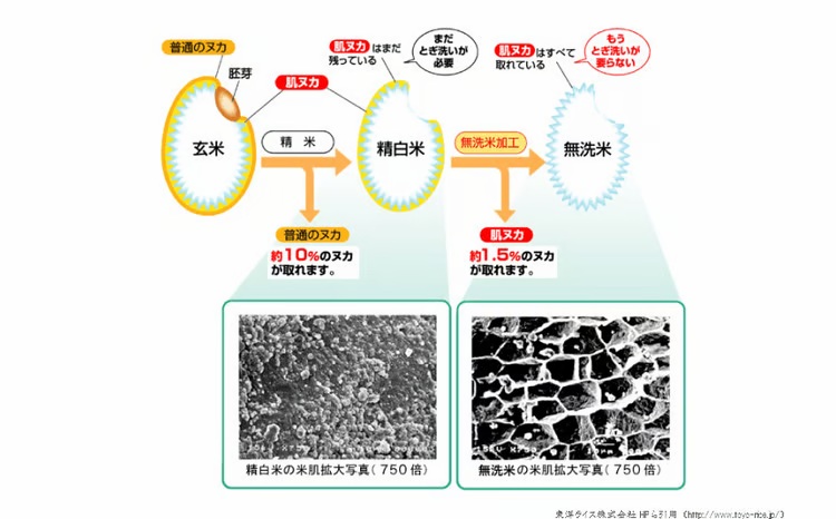 BG無洗米コシヒカリ 5kg×3回 定期便【隔月】【令和7年産 2ヶ月に1回 配送 6ヶ月 計15kg 半年間 島根県産 愛を米 米 こしひかり 新生活応援 お試し 節水 時短 アウトドア キャンプ 東洋ライス おすすめ 島根県 安来市】【45-SS-16】