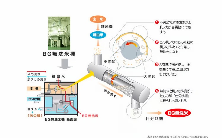 BG無洗米コシヒカリ 5kg×3回 定期便【隔月】【令和7年産 2ヶ月に1回 配送 6ヶ月 計15kg 半年間 島根県産 愛を米 米 こしひかり 新生活応援 お試し 節水 時短 アウトドア キャンプ 東洋ライス おすすめ 島根県 安来市】【45-SS-16】