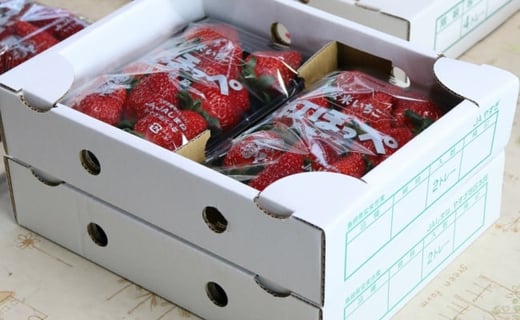 いちご 紅ほっぺ 4パックセット［島根県安来産　完熟いちご］【 先行予約 受付 完熟 苺 イチゴ 島根県産 甘い 人気 特産品 高級 フルーツ デザート 】