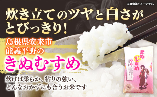 äºãæãç±³ãã€ã¹ã¿ãŒå³éž èœçŸ©å¹³éã®ãã¬ããã 7kg ã什å7å¹Žç£ çœç±³ 粟米 ã飯 çŸå³ãã å®å¿ å®å
š æ²Œç°ç±³ç©åº å³¶æ ¹ç 宿¥åžãã19-NB-03ã