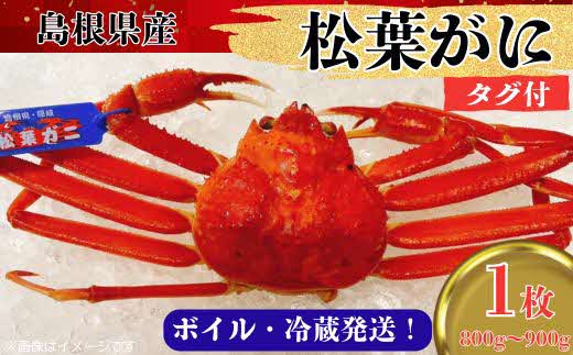 松葉ガニ800g～900g（1枚入り）