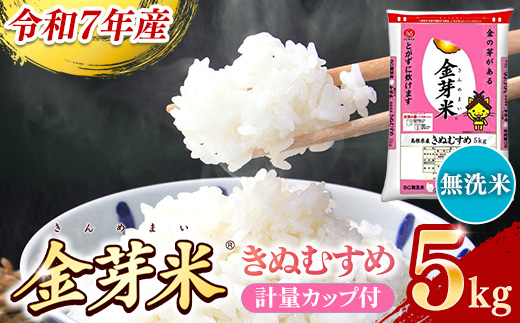 BG無洗米・金芽米きぬむすめ 5kg 計量カップ付き【令和7年産 節水 健康 ビタミン ミネラル つや お弁当 おいしい うまみ 甘み ふっくら 時短 簡単 島根県 安来市】【価格改定XA】