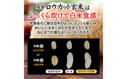 驥題歓繝ュ繧ヲ繧ォ繝繝育私邀ウ 蟲カ譬ケ逵檎肇 縺阪〓繧縺吶a 2kg シ2kgテ1陲具シ俄岡 譬ス蝓ケ譛滄俣荳ュ 霎イ阮ャ繝サ蛹門ュヲ閧・譁吩ク堺スソ逕ィ 竕ォ縲蝉サ、蜥7蟷エ逕」 繝ュ繧ヲ繧ォ繝繝 邇邀ウ 譎ら洒 鬟溽黄郢顔カュ 辟。豢礼アウ 驥題歓邀ウ 蟆丞縺 譁ー逕滓エサ蠢懈抄 縺願ゥヲ縺 鬟溘∋繧縺吶> 螳画擂蟶 譚ア豢九Λ繧、繧ケ 縲代10-SS-78縲