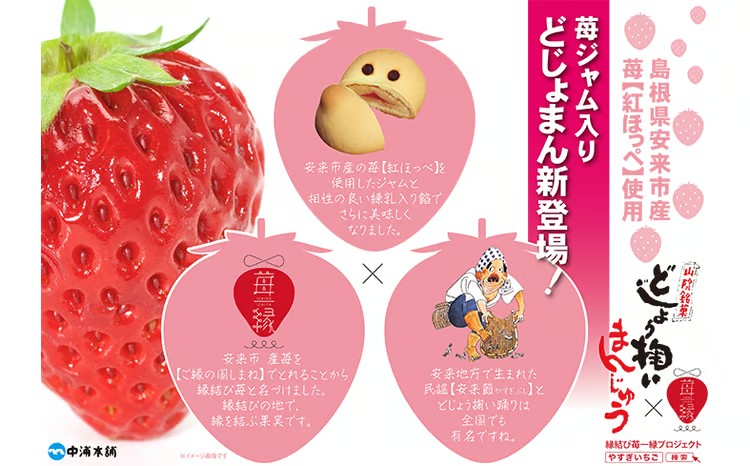 どじょう掬いまんじゅう ５種類セット【饅頭 ひょっとこ おやつ 和菓子 餡子 白餡 こしあん 抹茶あん 梨あん 苺あん セット 食べ比べ 上品 昔ながら 島根県 安来市】【価格改定】【14-NF-01】