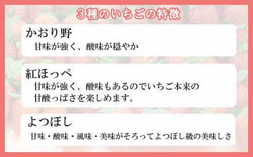 冷凍完熟いちご 1kg【 苺 イチゴ 島根県 安来市産】