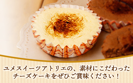 アトリエチーズ10個入り【チーズケーキ ケーキ クリームチーズ 美味しい おやつ お菓子 スイーツ ギフト 贈り物 おもてなし ご自宅用 島根県 安来市】【16-YA-07】