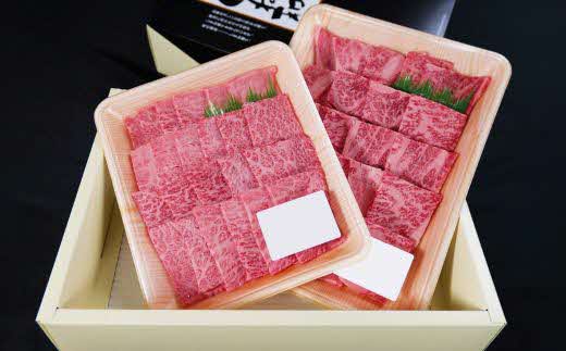 しまね和牛 焼肉用2種食べ比べセット（肩ロース、モモ）800g 