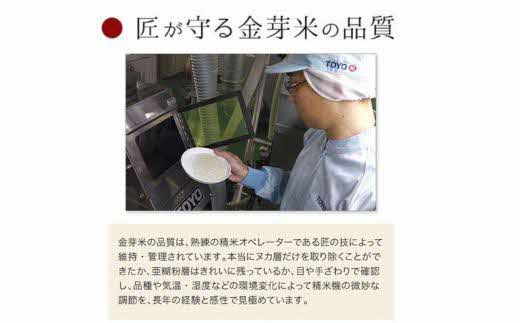 BG無洗米・金芽米にこまる 2kg 計量カップ付き【令和7年産 時短 お試し 少量 健康 うまみ 甘み 栄養 おいしい やわらかい ふっくら ビタミン ミネラル 島根県 安来市】【価格改定XA】【07-SS-32】
