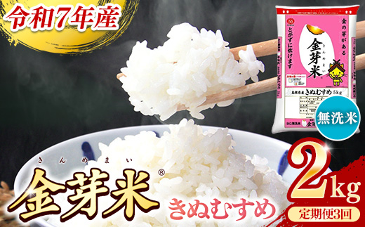 【定期便】BG無洗米・金芽米きぬむすめ 2kg×3ヵ月 （毎月）【令和7年産 3ヶ月 時短 健康 米 BG 無洗米 計6kg 島根県産 新生活応援 お試し 節水 時短 アウトドア キャンプ 東洋ライス 健康 島根県 安来市】【価格改定X】