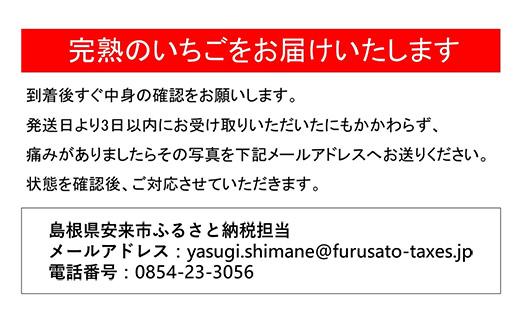 いちご 紅ほっぺ 2パックセット［島根県安来産　完熟いちご］【 先行予約 受付 完熟 苺 イチゴ 島根県産 甘い 人気 特産品 高級 フルーツ デザート 】