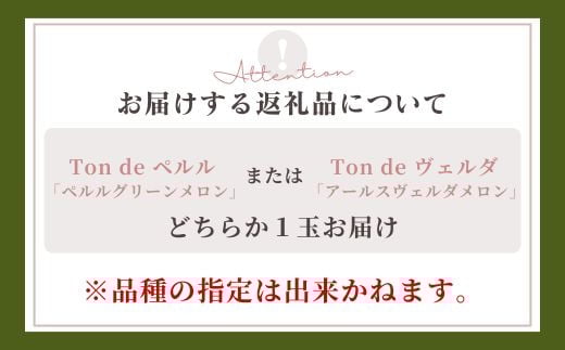 Ton de メロン 1玉【ペルルグリーンメロン アールスヴェルダメロン フルーツ 果物 美味しい 甘い 芳醇 しっとり 上品 旬 ご褒美 ギフト 贈り物 ご自宅用 安来 島根県 安来市】【10-FA-04】