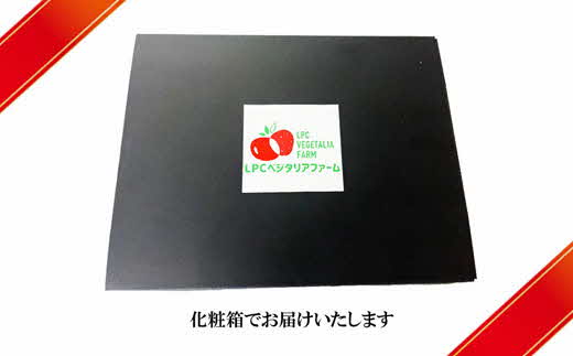 農場長厳選の美味しいいちご 400g【200g×2パック 苺 詰め合わせ 島根県 安来市産】