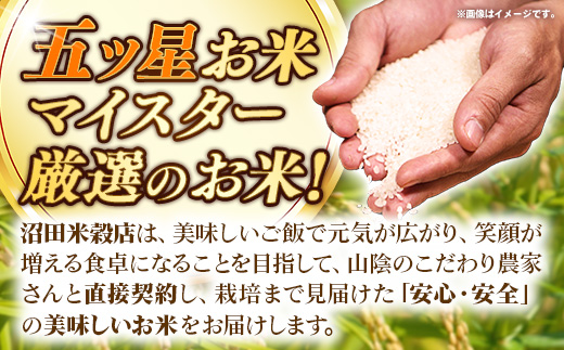 【定期便】五ツ星お米マイスター厳選 能義平野のきぬむすめ 3kg×6ヵ月 【令和7年産 ３KG 6ヶ月 毎月 計18kg 精米 白米 ご飯 お米 美味しい 安心 安全 沼田米穀店 島根県 安来市】【56-NB-09】