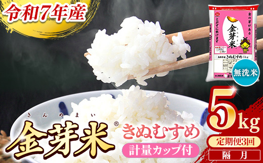 【定期便】BG無洗米・金芽米きぬむすめ 5kg×3回（隔月）計量カップ付き【令和7年産 2ヶ月に1回 6ヶ月 計15kg 東洋ライス 健康 島根県 安来市】