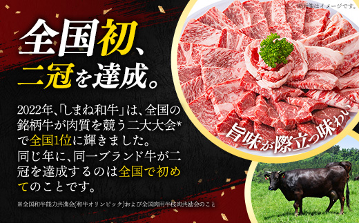 しまね和牛 訳あり ロースステーキ 220g×2枚 【黒毛和牛 ステーキ肉 牛肉 和牛 440g リブロース 冷凍 A4 サーロイン 贅沢 おもてなし ギフト 贈り物 国産 島根県 安来市】【30-DC-83】