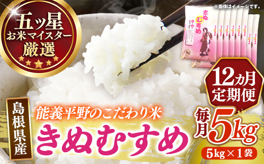 【定期便】五ツ星お米マイスター厳選 能義平野のきぬむすめ 5kg×12ヵ月 【令和7年産 ５KG 12ヶ月 毎月 計60kg 精米 白米 ご飯 お米 美味しい 安心 安全 沼田米穀店 島根県 安来市】【132-NB-08】