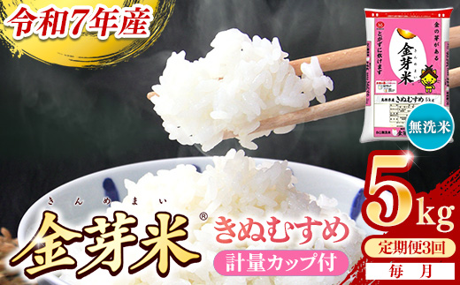 【定期便】BG無洗米・金芽米きぬむすめ 5kg×3ヵ月（毎月）計量カップ付き【令和7年産 3ヶ月 計15kg 東洋ライス 健康 島根県 安来市】【価格改定X】