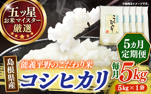 【定期便】五ツ星お米マイスター厳選 能義平野のコシヒカリ 5kg×5回 【令和7年産 5ヶ月定期便こしひかり 計25kg 精米 白米 ご飯 お米 美味しい 安心 安全 沼田米穀店 島根県 安来市】【74-NB-02】