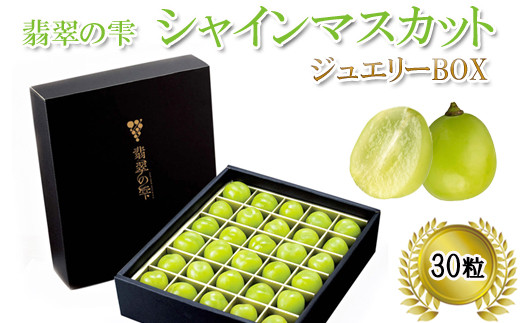 <翡翠の雫>シャインマスカット ジュエリーBOX【JU米子髙島屋選定品】 ギフト 高級 粒 2026 予約 ぶどう 皮ごと 種なし 果物 フルーツ 樹上完熟 完熟 こだわり マスカット厳選 朝採れ 島根県 安来市【48-O2-01】
