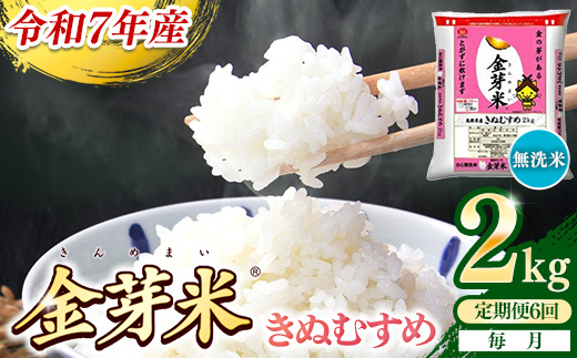 【定期便】BG無洗米・金芽米きぬむすめ 2kg×6ヵ月 （毎月）【令和7年産 6ヶ月 時短 健康 米 BG 無洗米 計12kg 精米 半年間 島根県産 節水 時短 アウトドア キャンプ 東洋ライス おすすめ 島根県 安来市】【42-SS-24】
