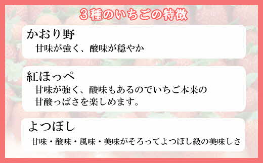 農場長厳選の美味しいいちご 800g【200g×4パック 苺 詰め合わせ 島根県 安来市産】