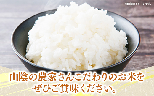 【定期便】五ツ星お米マイスター厳選 能義平野のきぬむすめ 5kg×12ヵ月 【令和7年産 ５KG 12ヶ月 毎月 計60kg 精米 白米 ご飯 お米 美味しい 安心 安全 沼田米穀店 島根県 安来市】【132-NB-08】