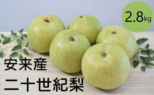 二十世紀梨　2.8kg【先行受付 2026年 発送 梨 なし ナシ 20世紀 美味しい みずみずしい 期間限定 先行予約】【18-JY-16】