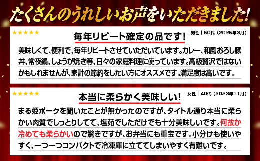 【12/31迄限定寄附額】【4月発送】 まる姫ポーク 切り落とし 2.4kg（300ｇ×8パック）豚肉 お肉 肉 切りおとし 切落し 切り落し スライス AK-19_4