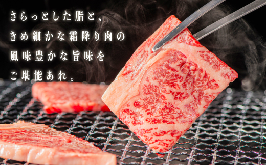 【肉質全国No.1 しまね和牛】熟成 しまね和牛 焼肉セット(ロース 約180g、もも 約180g、カルビ 約180g)計540g【JK-7】