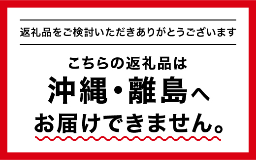 大亀醤油　濃口うす塩　1L　6本セット