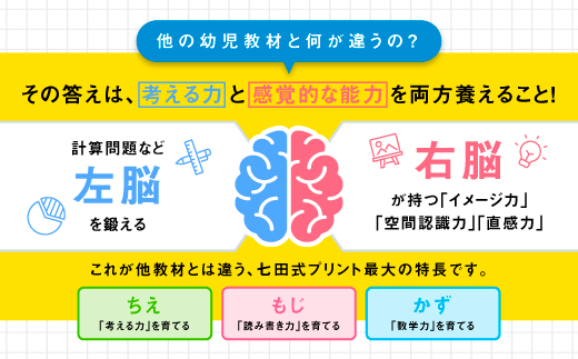 江津市限定返礼品 七田式プリントB 3歳半〜5歳 SC-50