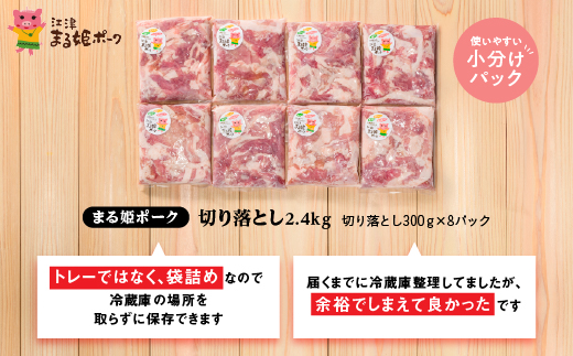 【12/31迄限定寄附額】【3月発送】 まる姫ポーク 切り落とし 2.4kg（300ｇ×8パック）豚肉 お肉 肉 切りおとし 切落し 切り落し スライス AK-19_3