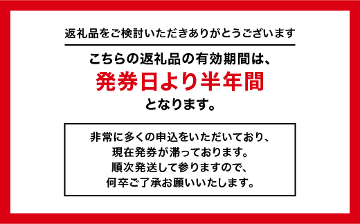 GINZA Global Style オーダースーツ 商品券（60，000円券）