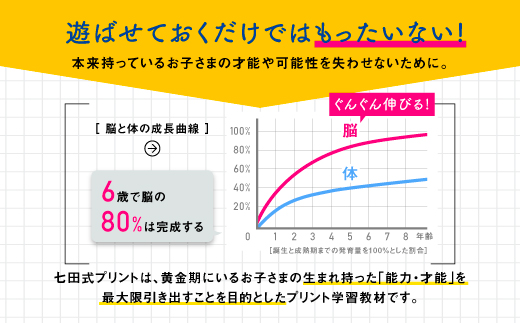 江津市限定返礼品 七田式プリントB 3歳半〜5歳 SC-50