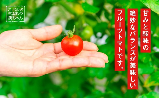 【ギフト用】スパルタ生まれの笑ちゃんトマト(200g×6パック入) GC-2