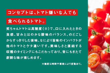 【ギフト】スパルタ生まれの笑ちゃんのトマトジュースギフトセットA 500g×1本 GC-5