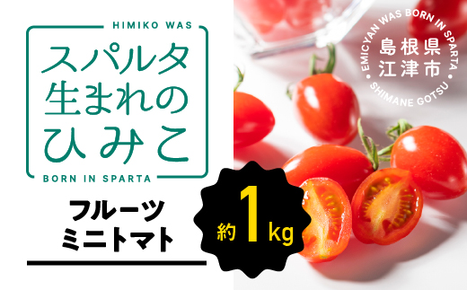 【先行予約】 ☆ 糖度 10度以上 ☆ 厳選 スパルタ生まれのひみこ ミニトマト 約1kg 【GC-36】 お届け：4月中旬～6月中旬ごろ順次発送
