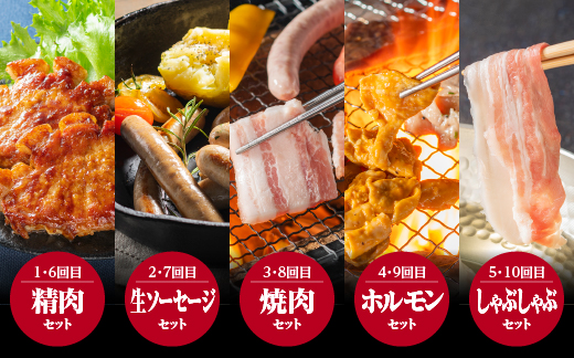 まる姫ポーク　おすすめセット　定期便【10ヶ月】 精肉セット 生ソーセージセット 焼肉セット ホルモンセット しゃぶしゃぶセット