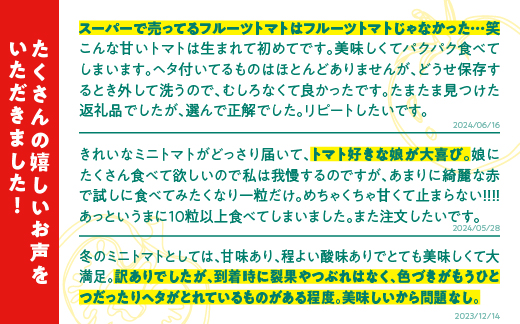 【訳あり】スパルタ生まれのひみこ 冷凍トマト４kg（2kg×2袋）【GC-33】