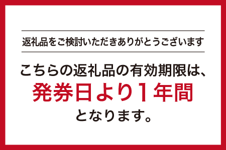 メンズ GINZA Global Style オーダースーツ 商品券（15，000円券）