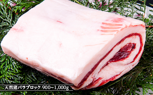 江の川shishi ブロックセット 2.7kg〜3kg 猪肉 いのしし肉 イノシシ肉 ジビエ ロース モモ バラ 煮込み用 角煮 焼肉用