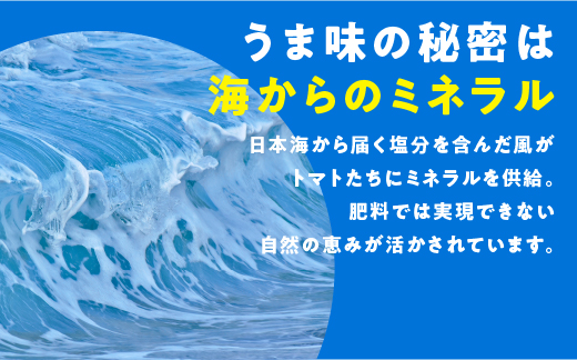 【訳あり】スパルタ生まれのひみこ 冷凍トマト４kg（2kg×2袋）【GC-33】