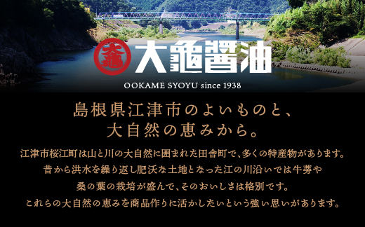 店主おすすめ！大亀醤油 ぷち醤油5種(全100ml各1本)5本セット【YS-19】