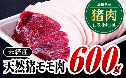 江の川shishi 未経産 猪肉 600g いのしし肉 イノシシ肉 モモ肉 ジビエ メス