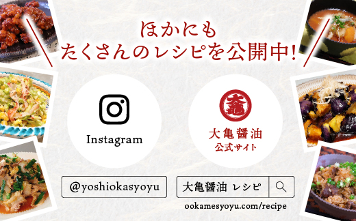 大亀醤油　濃口うす塩１L　2本セット