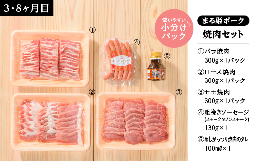 まる姫ポーク　おすすめセット　定期便【10ヶ月】 精肉セット 生ソーセージセット 焼肉セット ホルモンセット しゃぶしゃぶセット