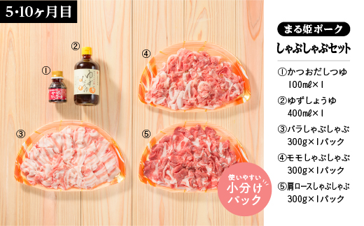 まる姫ポーク　おすすめセット　定期便【10ヶ月】 精肉セット 生ソーセージセット 焼肉セット ホルモンセット しゃぶしゃぶセット