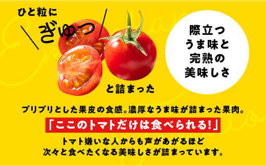 スパルタ生まれの笑ちゃんのトマトジュース 500ｇ×12本