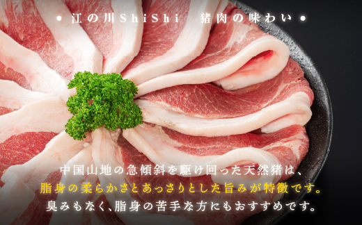 天然猪 江の川shishi 猪モモスライス 焼肉用 500g （ 2～3人前 ） AI-6